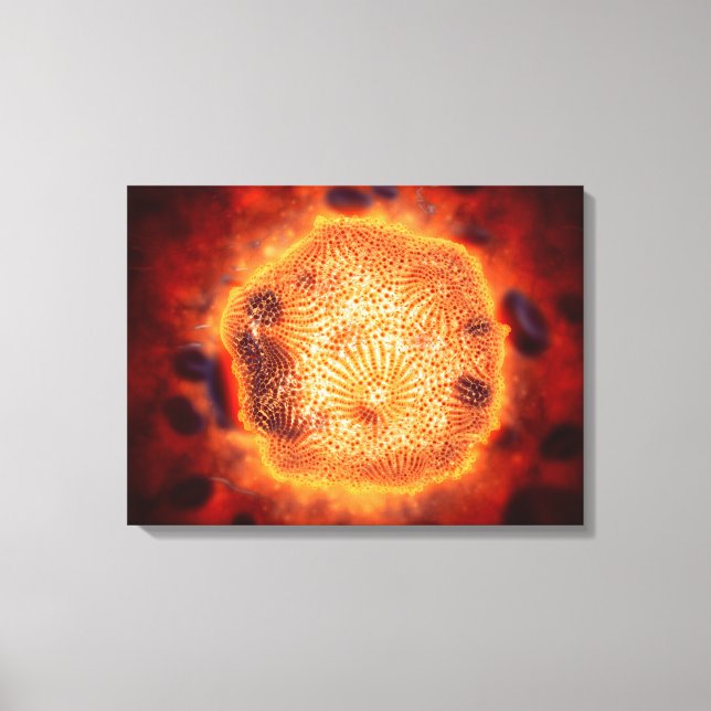 Mikroskopisk vy av Hund Parvovirus 4 Canvastryck (Framsida)