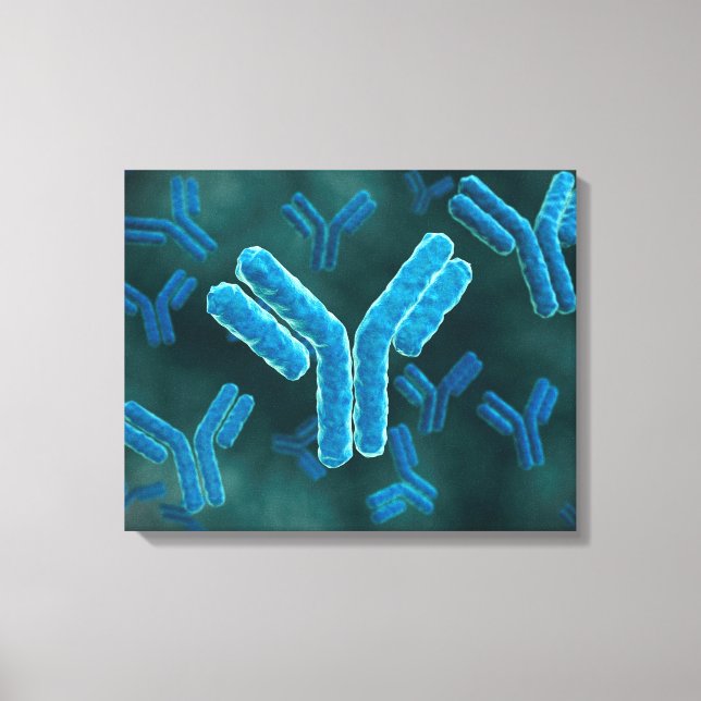 Mikroskopisk vy av immunglobulin G- molekyler. Canvastryck (Framsida)