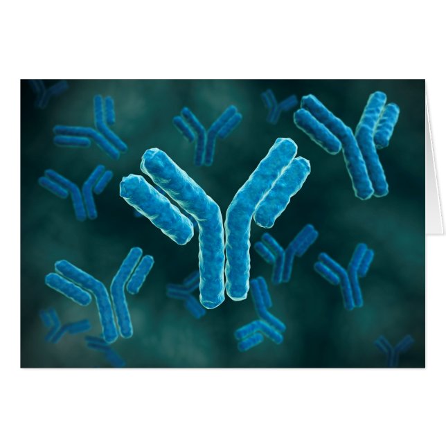 Mikroskopisk vy av immunglobulin G- molekyler. Hälsningskort (Framsidan Horizontal)