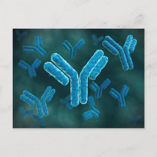 Mikroskopisk vy av immunglobulin G- molekyler. Vykort