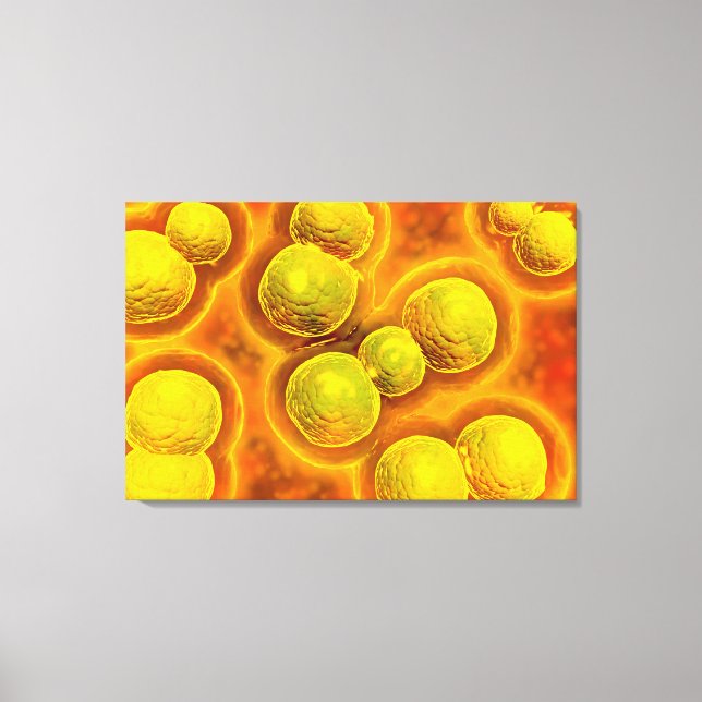 Mikroskopisk vy av klamydia canvastryck (Framsida)