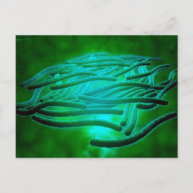 Mikroskopisk vy av Legionella Pneumophila 1 Vykort (Framsida)