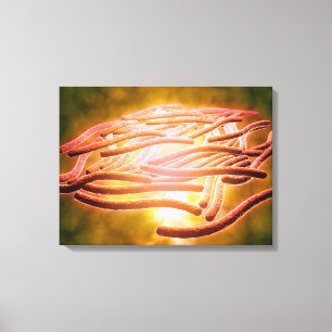 Mikroskopisk vy av Legionella Pneumophila 2 Canvastryck