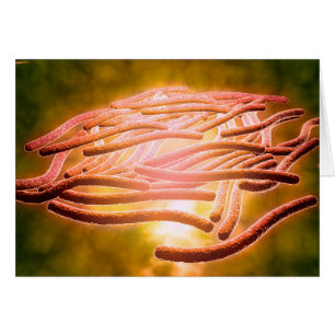 Mikroskopisk vy av Legionella Pneumophila 2 Hälsningskort