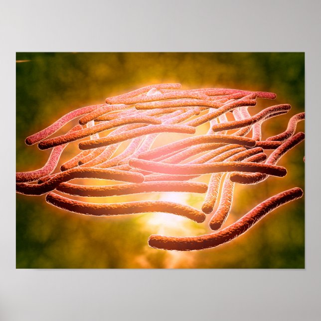 Mikroskopisk vy av Legionella Pneumophila 2 Poster (Framsidan)