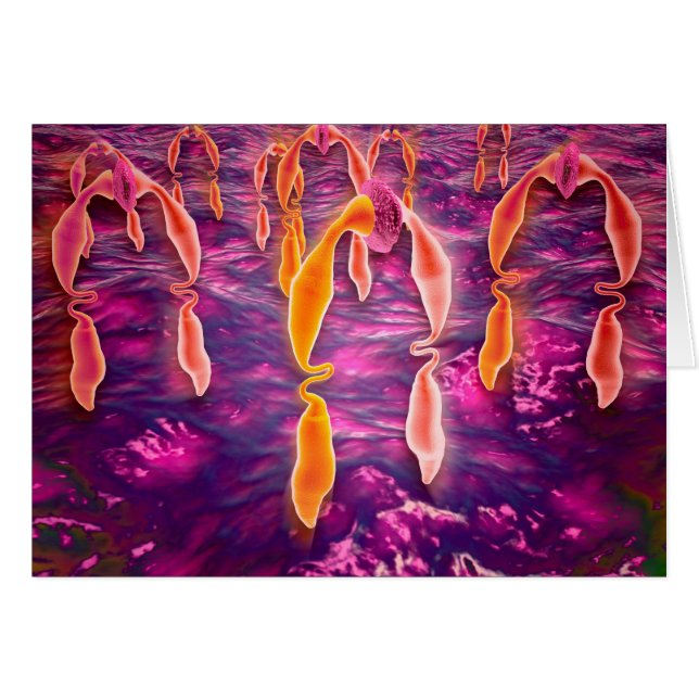 Mikroskopisk vy av ligand som binder till en motta hälsningskort (Framsidan Horizontal)