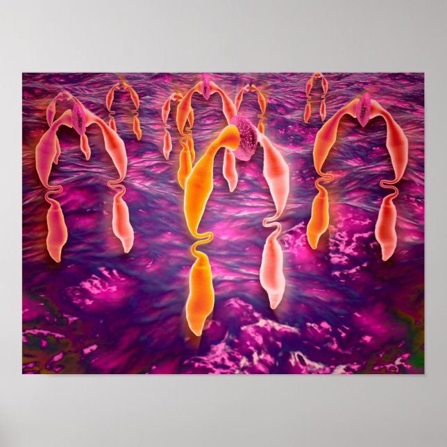 Mikroskopisk vy av ligand som binder till en motta poster (Framsidan)