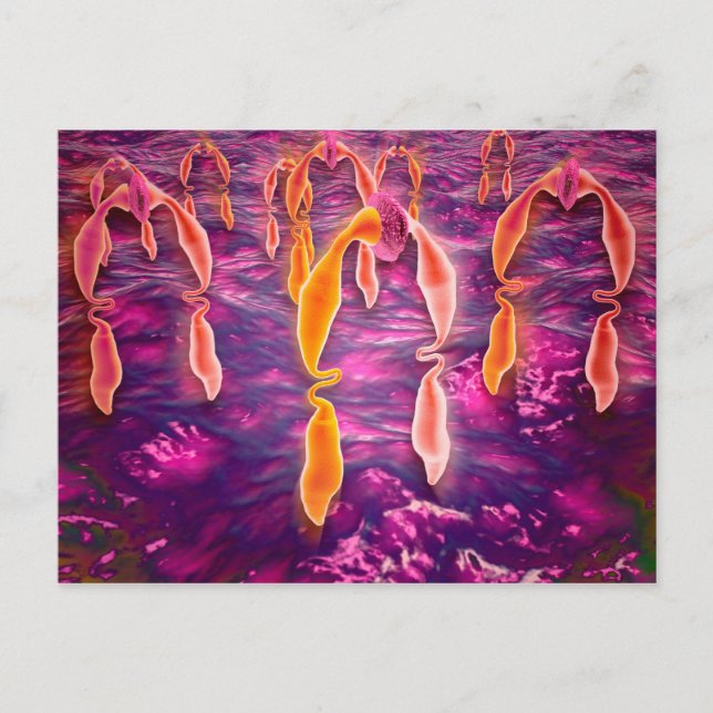 Mikroskopisk vy av ligand som binder till en motta vykort (Framsida)