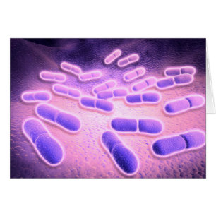 Mikroskopisk vy av Listeria Monocytogenes 2 Hälsningskort