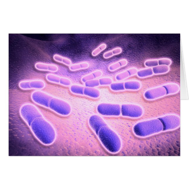 Mikroskopisk vy av Listeria Monocytogenes 2 Hälsningskort (Framsidan Horizontal)