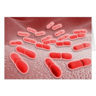 Mikroskopisk vy av Listeria Monocytogenes 4 Hälsningskort
