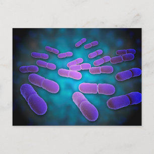 Mikroskopisk vy av Listeria Monocytogenes 5 Vykort