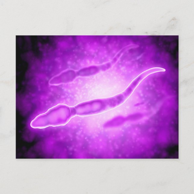 Mikroskopisk vy av manliga spermieceller vykort (Framsida)