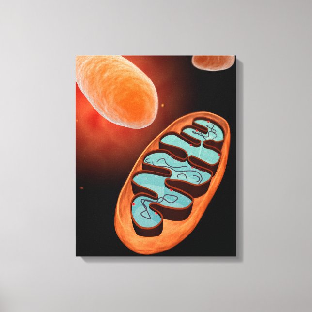 Mikroskopisk vy av Mitochondria 1 Canvastryck (Framsida)