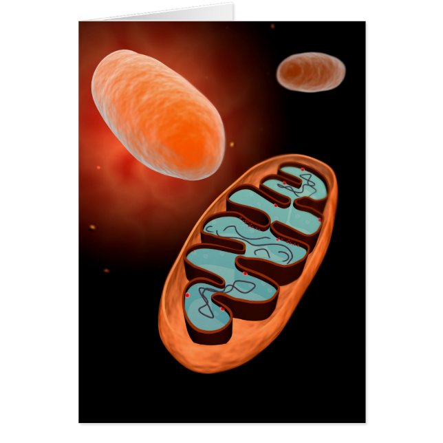 Mikroskopisk vy av Mitochondria 1 Hälsningskort (Framsidan)