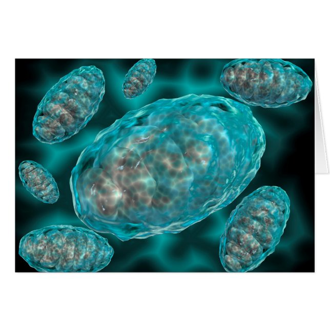 Mikroskopisk vy av Mitochondria 2 Hälsningskort (Framsidan Horizontal)