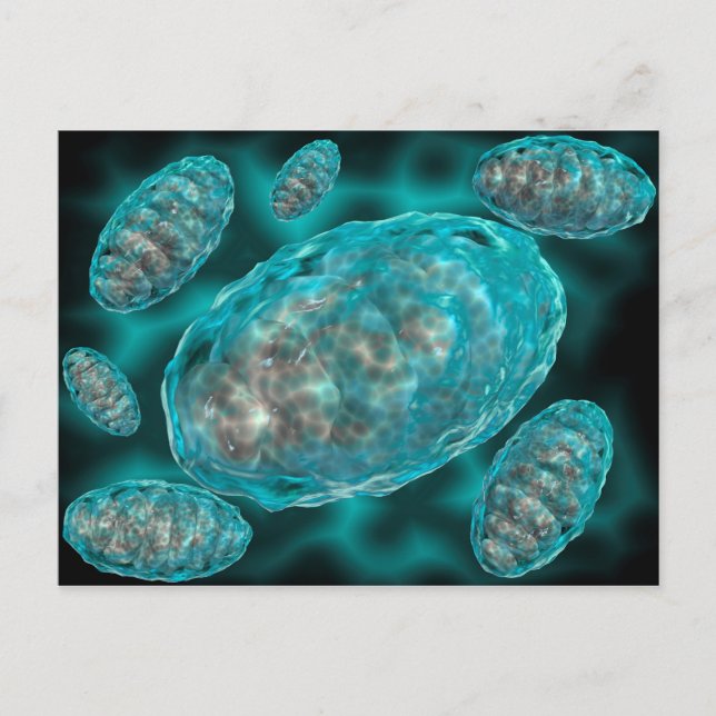Mikroskopisk vy av Mitochondria 2 Vykort (Framsida)