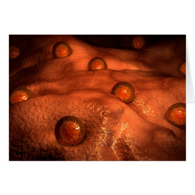 Mikroskopisk vy av ovulatoriska medel hälsningskort (Framsidan Horizontal)