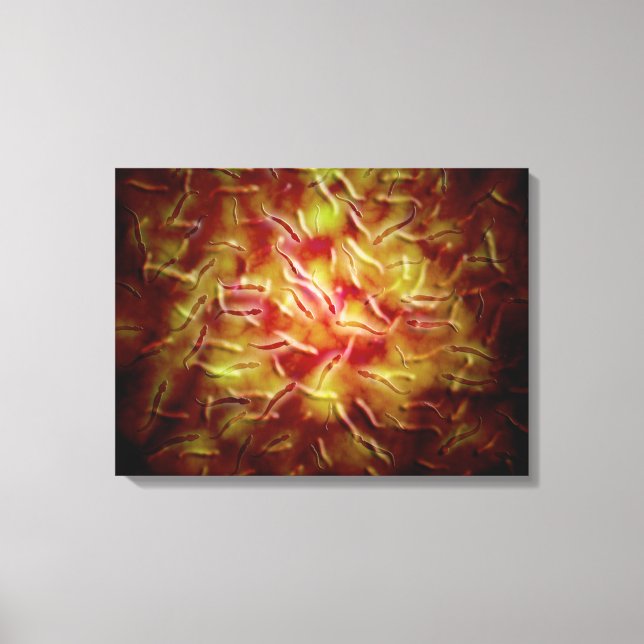 Mikroskopisk vy av Sperm Canvastryck (Framsida)