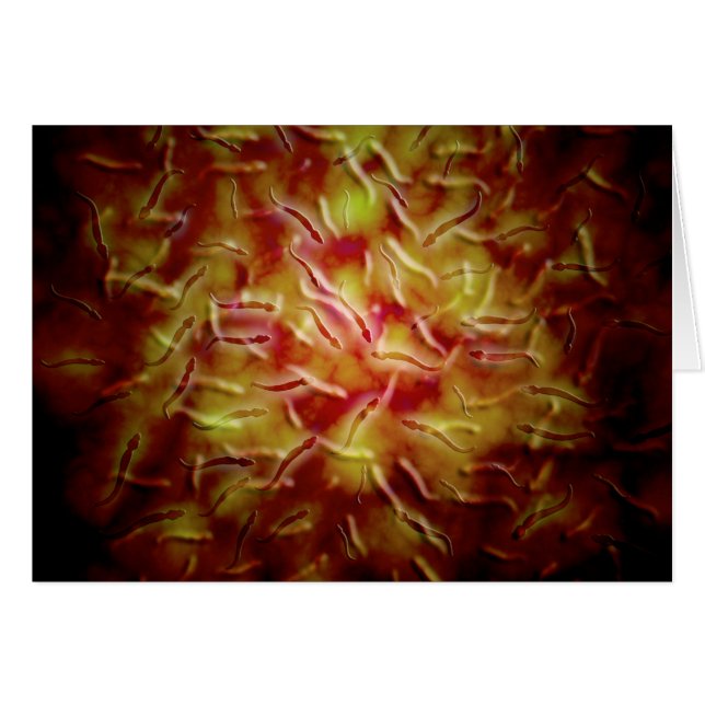 Mikroskopisk vy av Sperm Hälsningskort (Framsidan Horizontal)