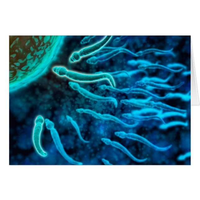 Mikroskopisk vy av Sperm Swimming mot ägg 1 Hälsningskort (Framsidan Horizontal)