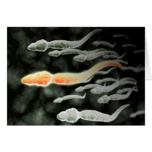 Mikroskopisk vy av Sperm Traveling Hälsningskort