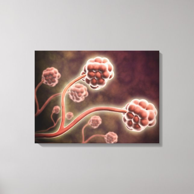 Mikroskopisk vy av stachybotrys Chartarum Canvastryck (Framsida)