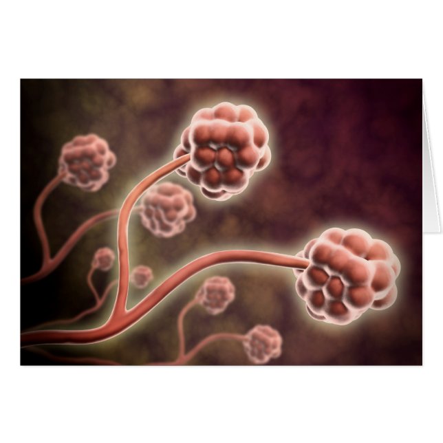 Mikroskopisk vy av stachybotrys Chartarum Hälsningskort (Framsidan Horizontal)