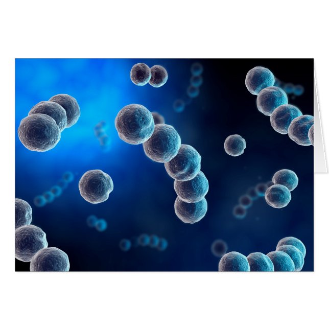Mikroskopisk vy av Streptococcus 2 Hälsningskort (Framsidan Horizontal)