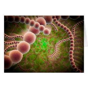Mikroskopisk vy av Streptococcus Pneumoniae Hälsningskort