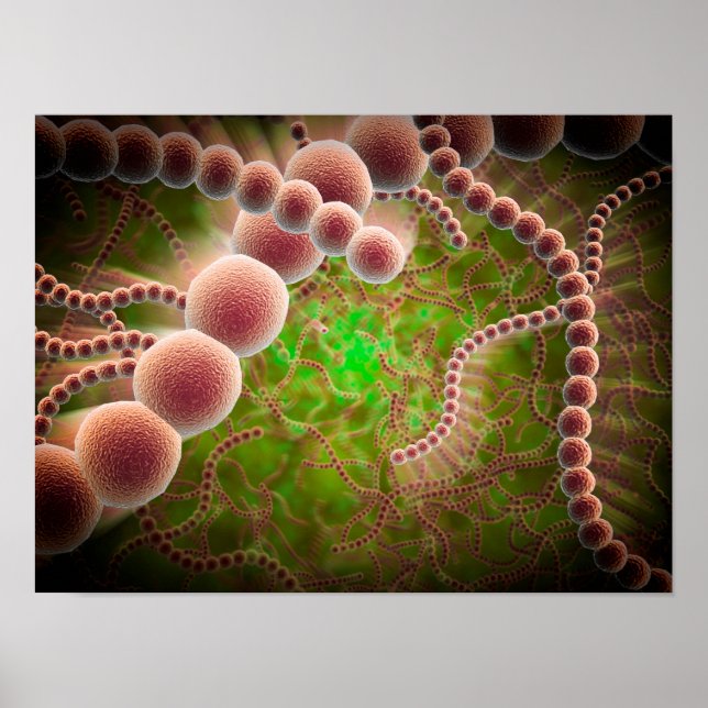 Mikroskopisk vy av Streptococcus Pneumoniae Poster (Framsidan)
