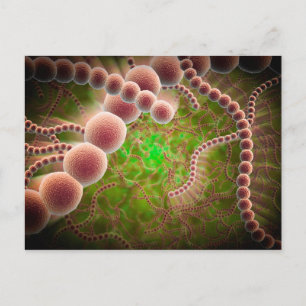 Mikroskopisk vy av Streptococcus Pneumoniae Vykort