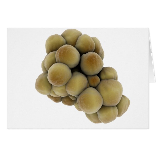 Mikroskopisk vy av tumör 5 hälsningskort (Framsidan Horizontal)