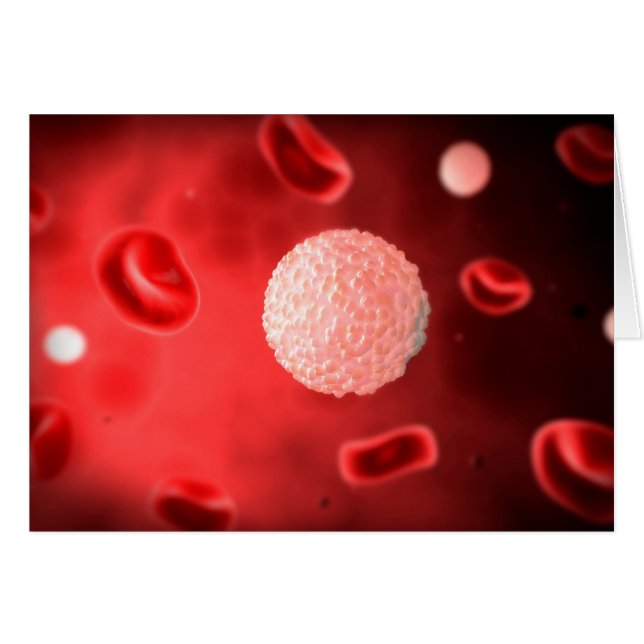 Mikroskopisk vy av vita blodkroppar hälsningskort (Framsidan Horizontal)