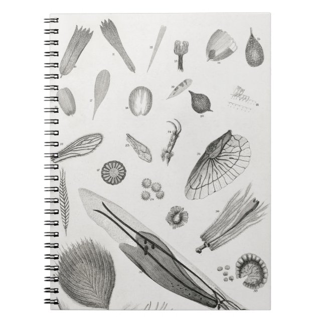 Mikroskopiska objekt2 anteckningsbok (Framsidan)