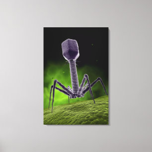 Mikroskopiskt beskåda av Bacteriophage Canvastryck