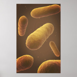Mikroskopiskt beskåda av bakterier 5 poster