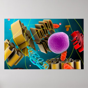 Mikroskopiskt beskåda av djur cellNucleus Poster
