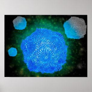 Mikroskopiskt beskåda av hund- Parvovirus 3 Poster