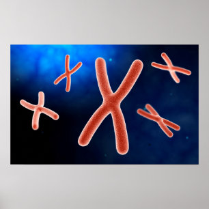 Mikroskopiskt beskåda av kromosom 1 poster