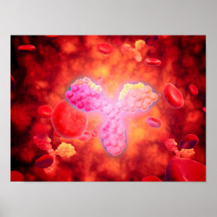 Mikroskopiskt beskåda av människan Anitbodies Poster