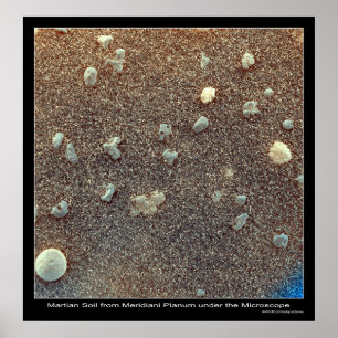 Mikroskopiskt beskåda av Martian smutsar Poster