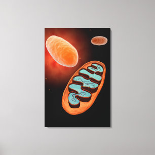 Mikroskopiskt beskåda av Mitochondria 1 Canvastryck