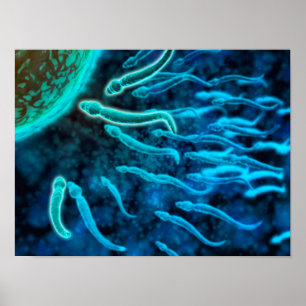 Mikroskopiskt beskåda av spermasimning in mot äg poster