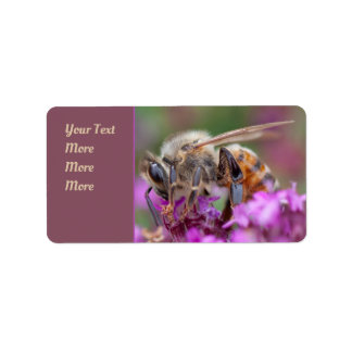 Mikroskopiskt perspektiv: Fjäderhonungsbin Adressetikett