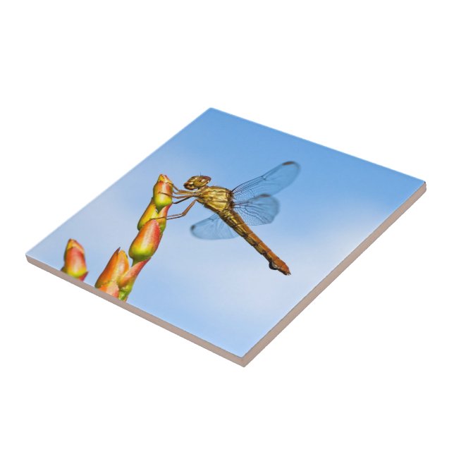 mil bakom mig kakelplatta (Sidan)