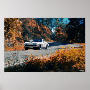 Mil cumbres dowhill (La Mexikanska Tävling) Poster