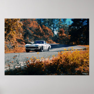 Mil cumbres dowhill (La Mexikanska Tävling) Poster