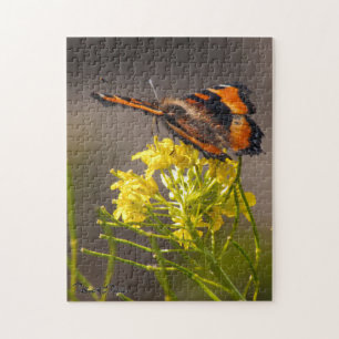 Milberts Tortoiseshell Butterfly nära Pussel