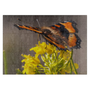 Milberts Tortoiseshell Butterfly närmar sig